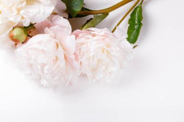 Yaprakları çiçek ve ahşap tahta üzerinde beyaz kurdele ile hassas beyaz pembe Şakayık. Ek yükü üstten görünüm, düz yatıyordu. Uzay kopyalayın. Doğum günü, anne, Sevgililer, kadın, düğün günü kavramı