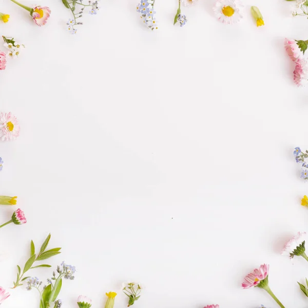 白色背景上的粉红色的花朵框架. — 图库照片