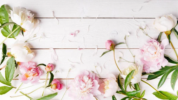 Delicada peonía rosa blanca con flores de pétalos y cinta blanca sobre tabla de madera. Vista superior, posición plana. Copiar espacio. Cumpleaños, Madres, San Valentín, Mujeres, concepto del día de la boda — Foto de Stock