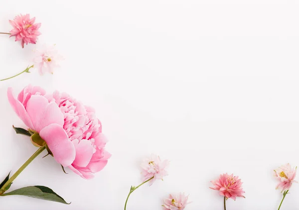 喜庆的花朵组成白色的木质背景。Overh — 图库照片