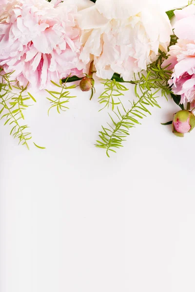 Delicada peonía rosa blanca con flores de pétalos y cinta blanca sobre blanco. Vista superior, posición plana. Copiar espacio. Cumpleaños, Madres, San Valentín, Mujeres, concepto del día de la boda — Foto de Stock