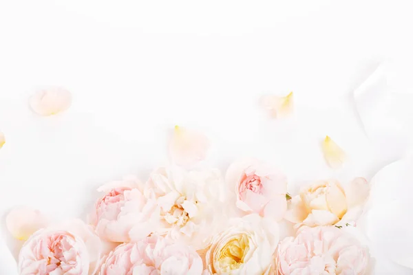 背景の柔らかいスタイルの甘い色の生地のバラ — ストック写真