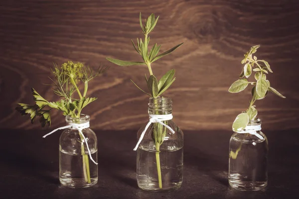 Önemli petrol otlar, maydanoz, kekik, dereotu, çördük, bir şişe eski ahşap arka plan ayarla. Yemek, alternatif tıp, Masaj, aromaterapi kavramı.