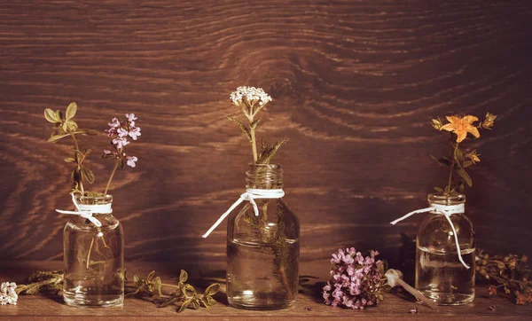 Önemli petrol otlar ve şifalı bitkiler, St Johns wort, civanperçemi, kekik, eski ahşap arka plan ayarla şişe. Yemek, alternatif tıp, Masaj, aromaterapi kavramı,