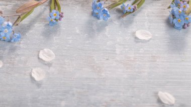 Beyaz ahşap arka planda şenlikli çiçek kompozisyonu. Genel Görünüm