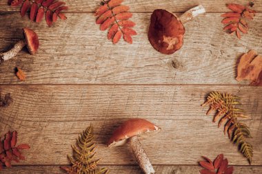 Taze mantar rustik ahşap bir masa üzerinde. Turuncu huş Bolete. Boşaltmak. Sonbahar arka plan