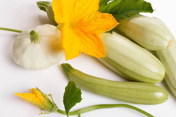 fresh green zucchini with slice isolated on white background