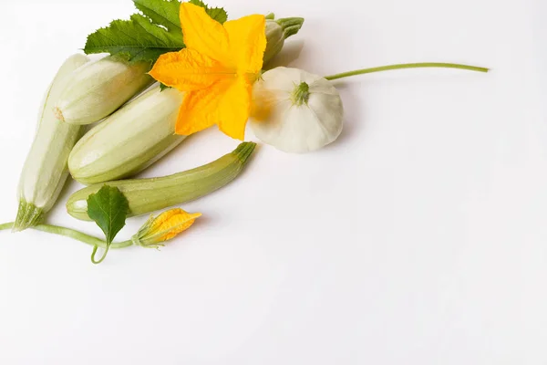 Calabacín verde fresco con rebanada aislada sobre fondo blanco — Foto de Stock