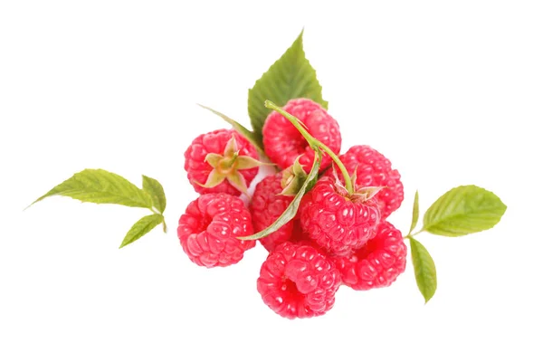 Raspberry with leaves isolated on white background. — Stock Photo, Image