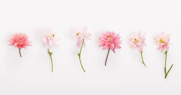 Composición floral festiva sobre fondo de madera blanca. Vista aérea — Foto de Stock