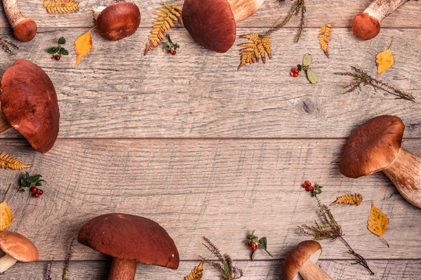 Wild fresh mushrooms on a rustic wooden table. Orange Birch Bolete. Copyspace. Autumn background — Stock Photo, Image