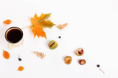 Sonbahar kompozisyon. Sıcak kahve, sonbahar yaprakları ve beyaz bir arka plan üzerinde kestane. Düz yatıyordu, en iyi görünümü.