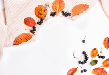 Woomen nazik bej pembe kazak, Kuru sonbahar yaprakları ve bir beyaz arka plan, sonbahar sonbahar konsepti., sonbahar alışveriş ve indirimler kavramı üzerinde aronia çilek. Düz yatıyordu, en iyi görünüm, kopya alanı