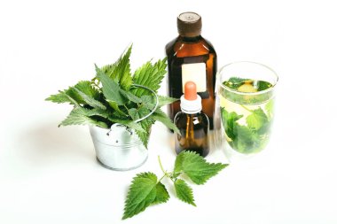 Yaygın ya da İğneli Nettle, Urtica dioica, küçük bitki makrosu, seçici odak, sığ DOF.