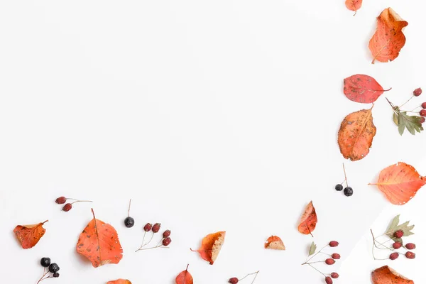 Jesienna kompozycja. Rama wykonana z jesieni, suche Multi-kolorowe liście i jagody aronii na białym tle. Jesień, jesień koncepcja. Płaskie świeckich, góry widok, miejsce — Zdjęcie stockowe