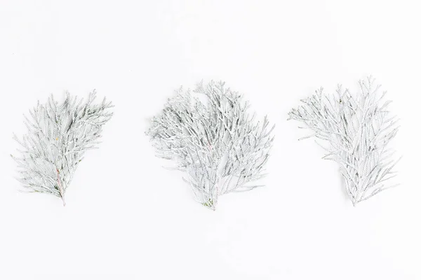 Composizione natalizia minimalista in colori vivaci fatta di rami di pino su sfondo bianco. Natale, inverno, capodanno. Posa piatta, vista dall'alto — Foto Stock