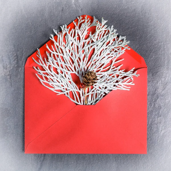 I rami di un thuja coperto di hoarfrost in una busta rossa, carta minima di Capodanno. Vacanze, concetto di congratulazione — Foto Stock