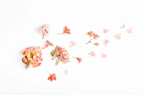 Flowers composition. Frame made of dried rose flowers on white background. Flat lay, top view, copy space — Stock Photo, Image
