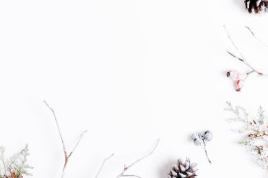 Çamın dalları beyaz zemin üzerine yapılmış parlak renklerde minimalist Noel kompozisyon. Noel, kış, yeni yıl kavramı. Düz yatıyordu, en iyi görünüm, kopya alanı