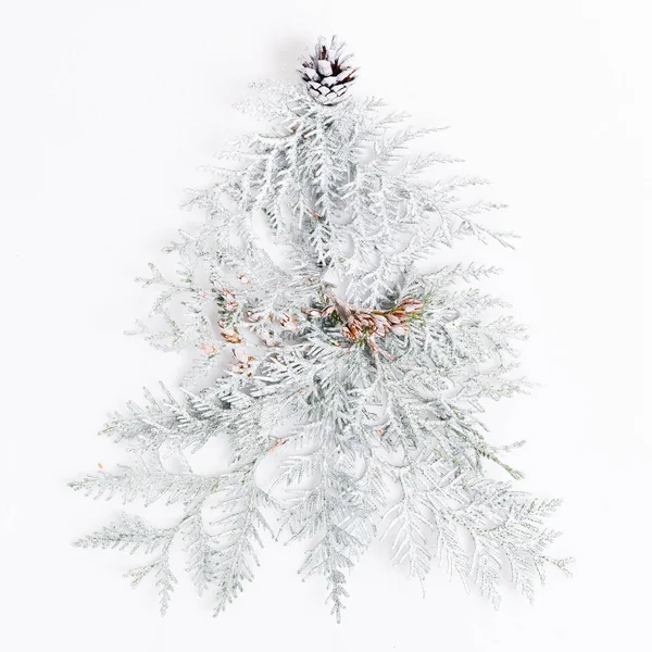 흰색 바탕에 소나무 가지 밝은 색상에 미니멀한 크리스마스 구성에 의하여 이루어져 있다. 크리스마스, 겨울, 새 해 개념. — 스톡 사진