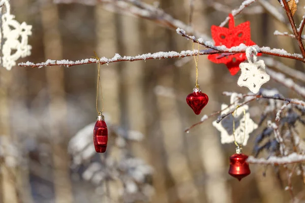 Christmas red star and heart on twigs and frost-covered sprigs in the forest — Stock Photo, Image