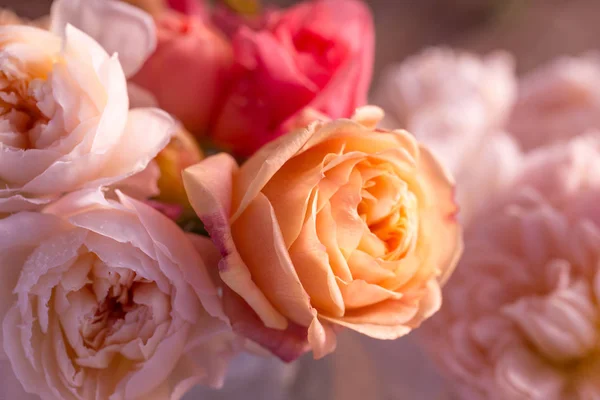 Strauß englischer Rosen mit Raureif auf den Blütenblättern auf dem alten Holztisch, rustikaler Stil. — Stockfoto