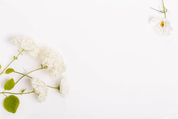 Een boeket van witte bloemen op witte planken — Stockfoto