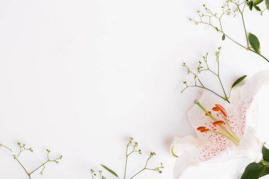 Beyaz tahtalar üzerinde beyaz buket