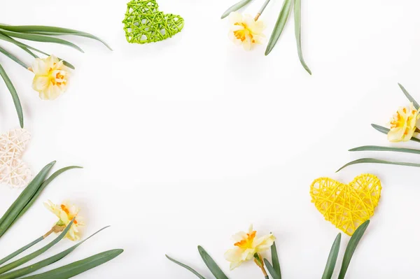 Slavnostní Jarní Květy Narcisů Složení Žluté Zelené Srdce Bílém Podkladu — Stock fotografie