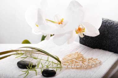 Sağlık dekorasyon, Sevgililer günü Spa konsept