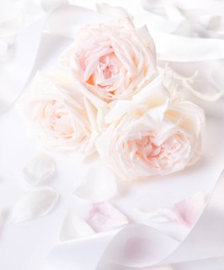 Beyaz ahşap arka planda şenlikli çiçek kompozisyonu. Genel Görünüm