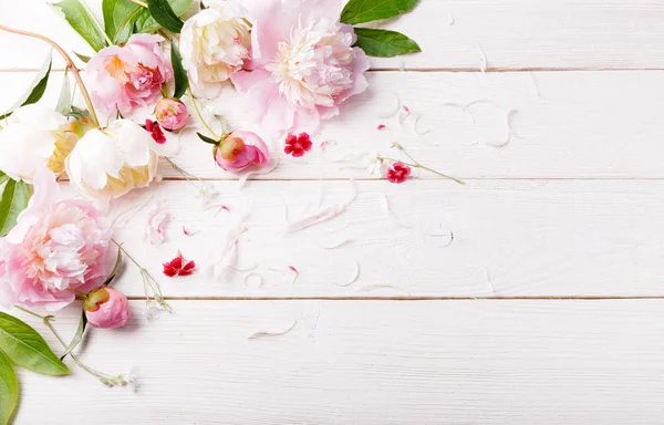 Delicada peonía rosa blanca con flores de pétalos y cinta blanca sobre tabla de madera. Vista superior, posición plana. Copiar espacio . — Foto de Stock