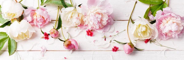 Delicada peonía rosa blanca con flores de pétalos y cinta blanca sobre tabla de madera. Vista superior, posición plana. Copiar espacio . — Foto de Stock