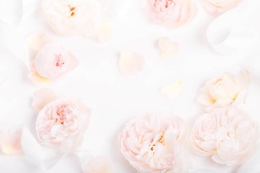 Beyaz ahşap arka planda şenlikli çiçek kompozisyonu. Genel Görünüm