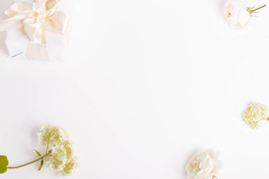 Beyaz arka planda şenlikli çiçek kompozisyonu. Genel Görünüm