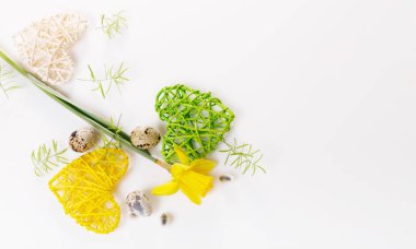 Bahar çiçek sınır, güzel taze nergis çiçek, beyaz arka plan üzerinde izole.