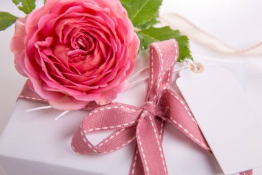 Güzel pembe Gül, hediye kutusu ile şerit beyaz arka plan üzerinde. Tebrik kartı