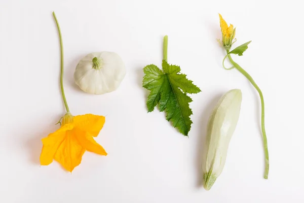 Calabacín verde fresco con rebanada aislada sobre fondo blanco — Foto de Stock