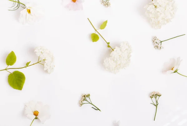 하얀 나무 배경에 꽃이 피어 있다. 머리 위에서 본 광경 — 스톡 사진