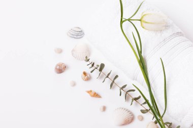 Sağlık dekorasyon, Sevgililer günü Spa konsept