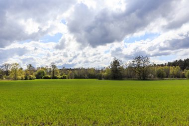 Sağlık dekorasyon, Sevgililer günü Spa konsept