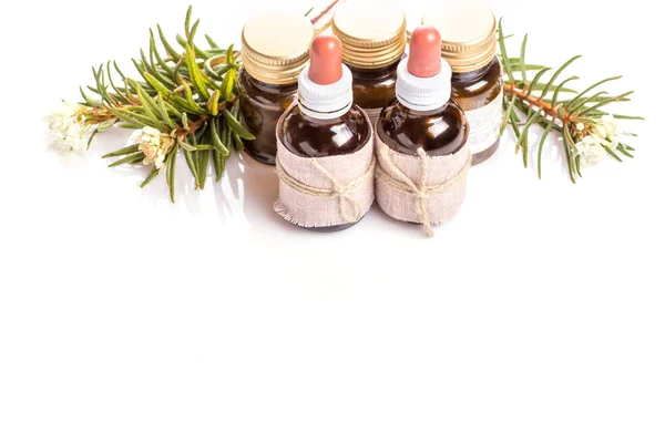 Medicinale kruiden wilde rozemarijn, tinctuur flessen of olie — Stockfoto