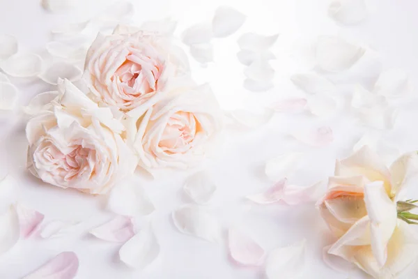 Boda romántica background.Wedding, San Valentín, compromiso, tema aniversario —  Fotos de Stock