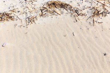 Kum dokusu. Arka plan için kumsal