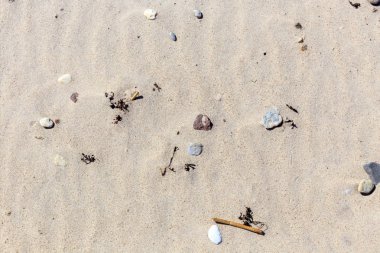 Kum dokusu. Arka plan için kumsal