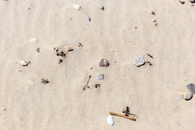 Kum dokusu. Arka plan için kumsal