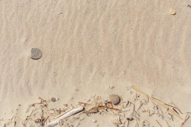 Kum dokusu. Arka plan için kumsal