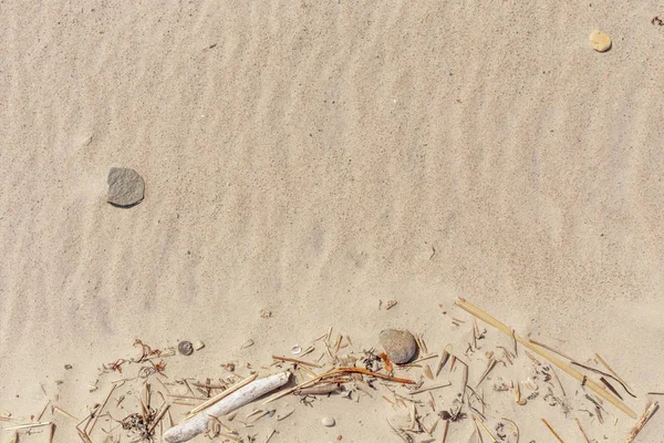 Sand texture. Sandy beach for background — Stock Photo, Image