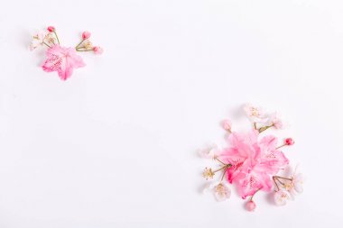 Beyaz arka planda şenlikli çiçek kompozisyonu. Genel Görünüm