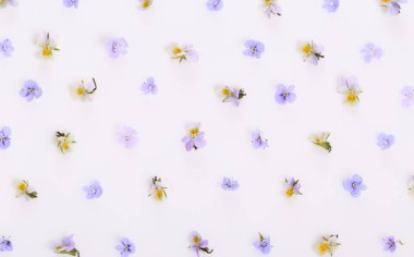 Beyaz arka planda çiçek deseni, küçük beyaz sarı çiçekler